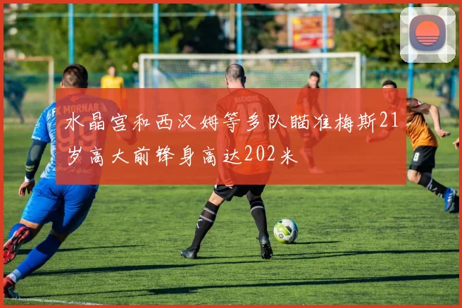 水晶宫和西汉姆等多队瞄准梅斯21岁高大前锋身高达202米
